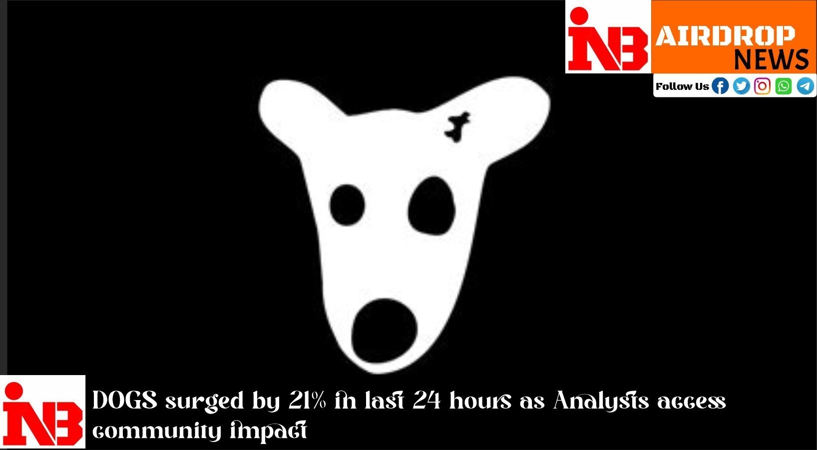 DOGS surged by 21% in last 24 hours as Analysts access community impact