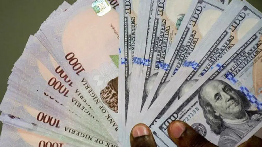Naira Depreciates Against Dollar in Both Parallel and Official Markets