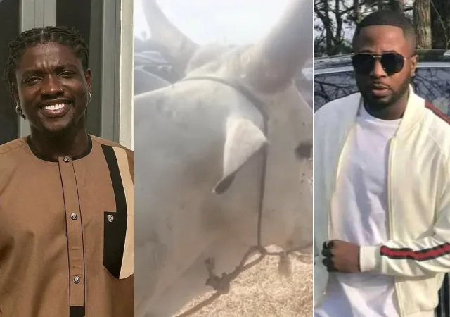 VeryDarkMan Surprises Tunde Ednut with a Cow for His Birthday