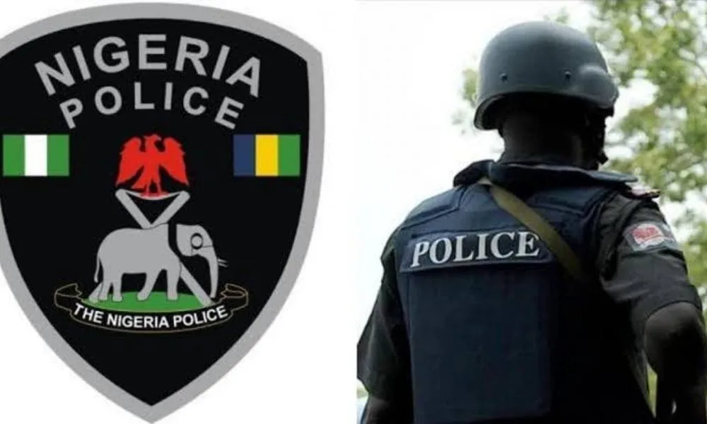 Ogun State Police Raise Alarm Over Surge in Missing Persons Cases